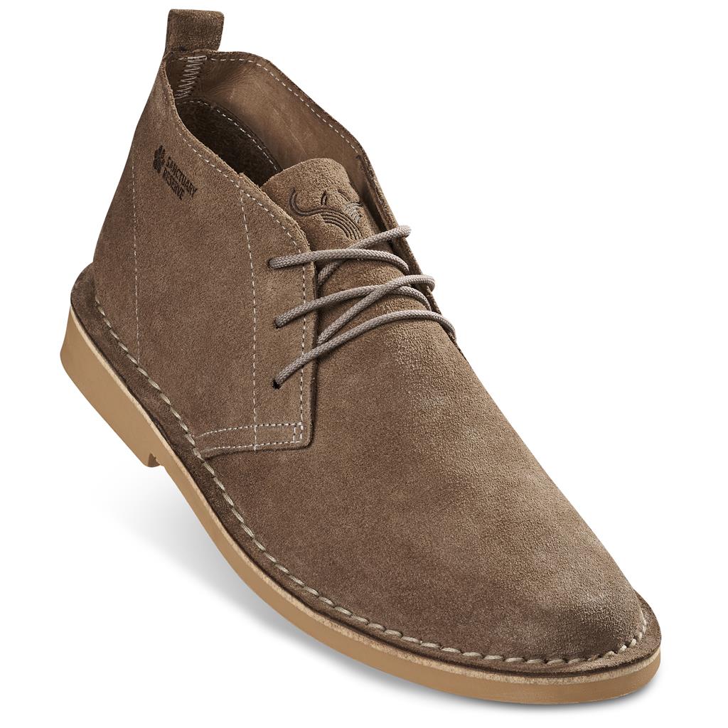 Brown suede shoe with brown laces on a white background

