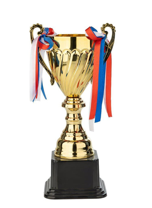 TROPHY 8001D 25CM