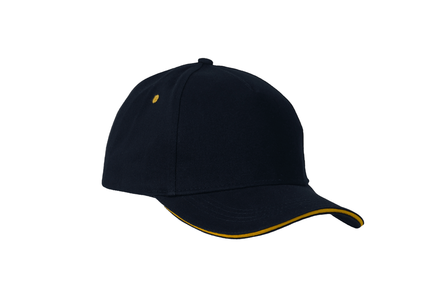 Sandwich Cap Navy&gold
